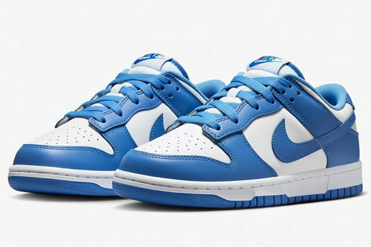 Nike Dunk Low Blue